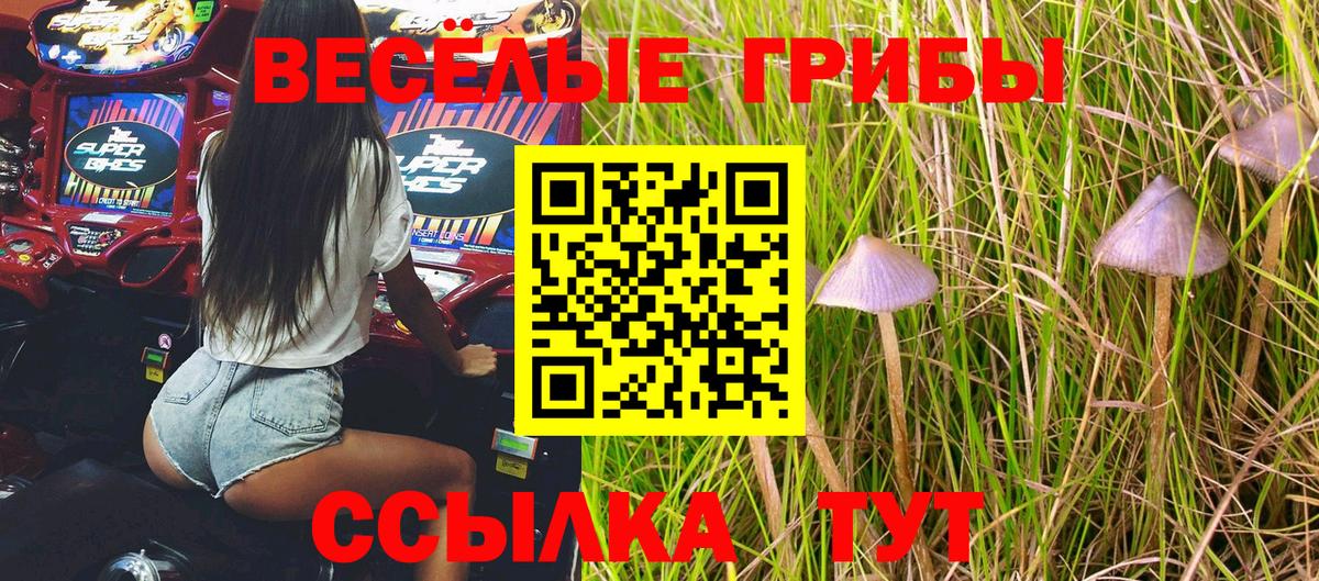 купить наркоту  Галлюциногенные грибы Cubensis  Вход с VPN  Королёв  Галлюциногенные грибы Psilocybine cubensis 
