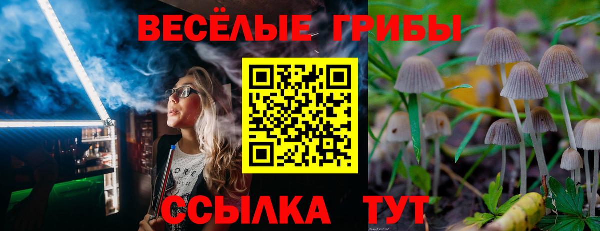 Псилоцибиновые грибы мицелий Королёв